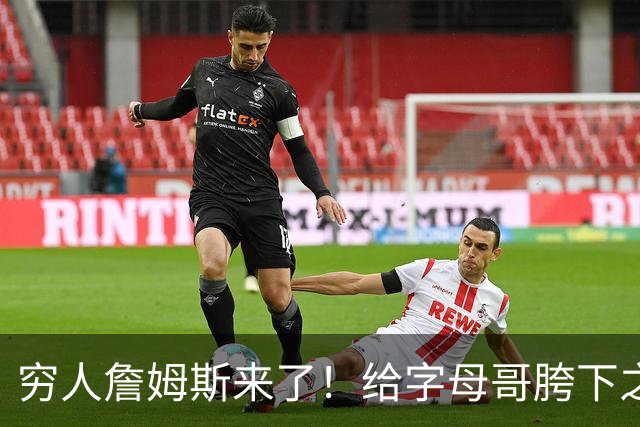 穷人詹姆斯来了！给字母哥胯下之辱！骑士抢下MVP！