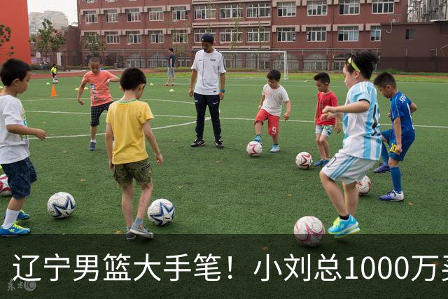 辽宁男篮大手笔！小刘总1000万买断段睿骐，4年B类合同，赵继伟接班人！