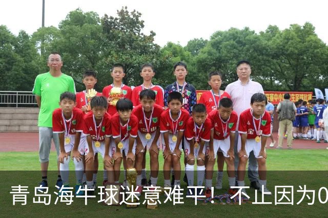 青岛海牛球迷意难平！不止因为0-2天津津门虎，更多在于以下五点